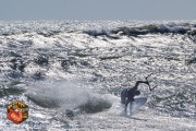 20240426-Z6-capehatteras-649