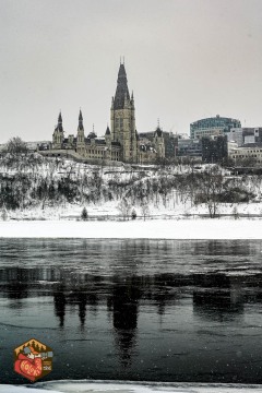2025-02-22-Z6-snowshoe-130