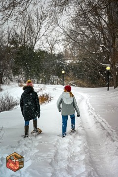 2025-02-22-Z6-snowshoe-168