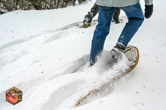 2025-02-22-Z6-snowshoe-95